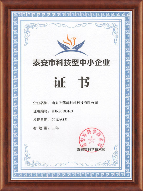 泰安市科技型中小企業2018