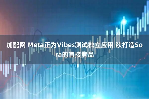加配网 Meta正为Vibes测试独立应用 欲打造Sora的直接竞品