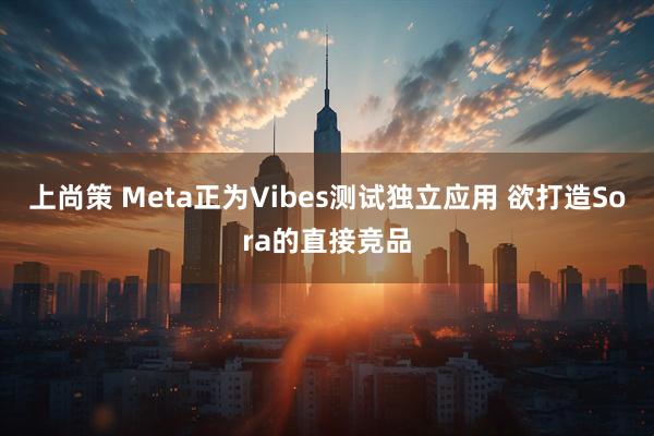 上尚策 Meta正为Vibes测试独立应用 欲打造Sora的直接竞品