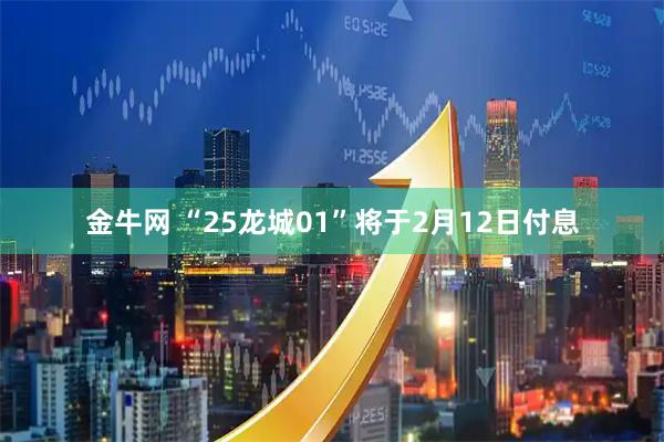 金牛网 “25龙城01”将于2月12日付息