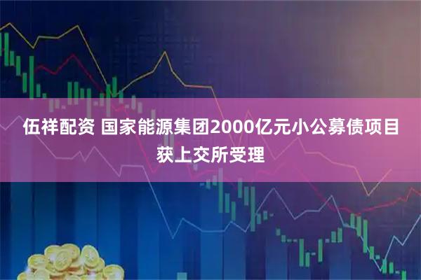 伍祥配资 国家能源集团2000亿元小公募债项目获上交所受理