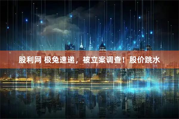 股利网 极兔速递，被立案调查！股价跳水