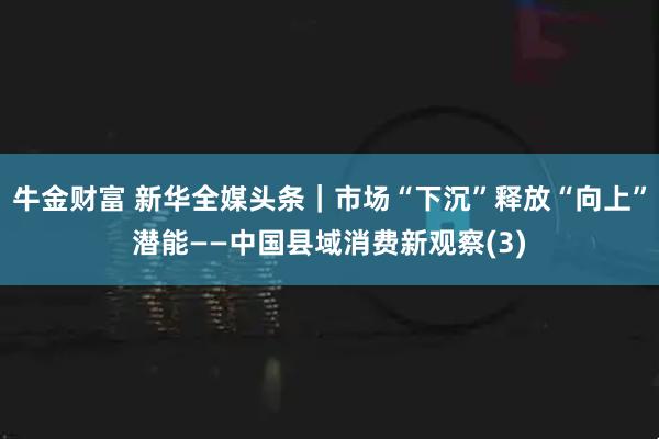 牛金财富 新华全媒头条｜市场“下沉”释放“向上”潜能——中国县域消费新观察(3)