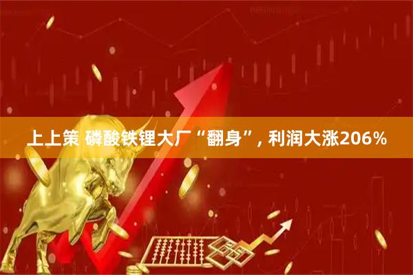 上上策 磷酸铁锂大厂“翻身”, 利润大涨206%